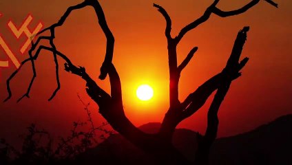 카지노게임사이트홍보＼＼『 MW381。CoM 』 ＼＼베트남카지노