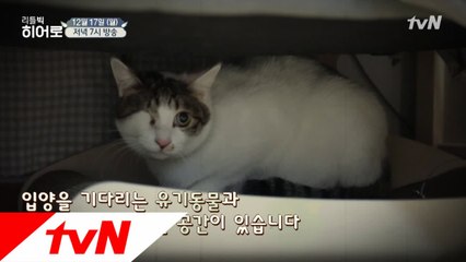 반려동물과 함께 살아가는 문화를 만드는 수의사
