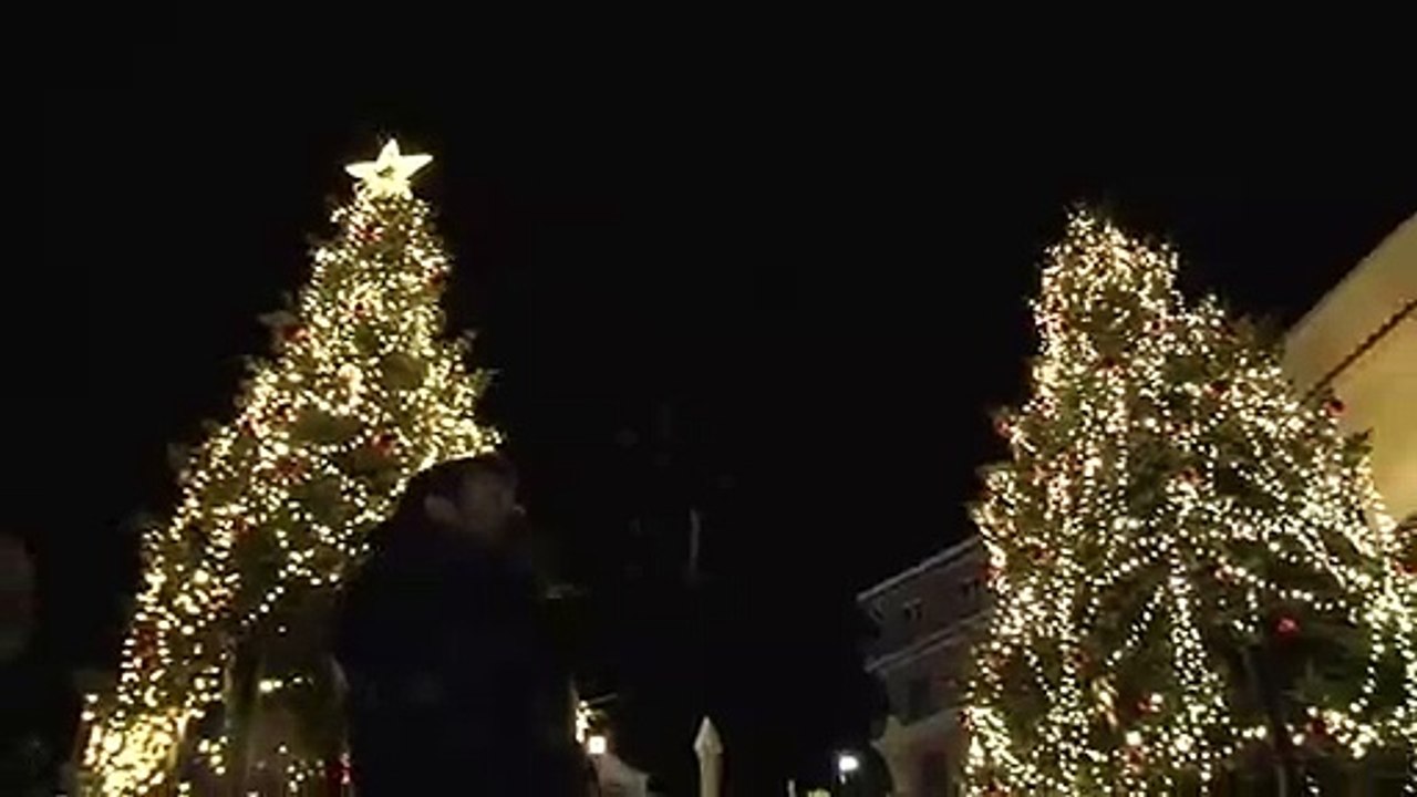 Καρπενήσι: Άναψαν τα δέντρα, αλλά αναβλήθηκε η συναυλία για τη Δευτέρα