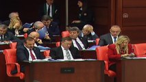 2019 Yılı Merkezi Yönetim Bütçe Kanunu Teklifi - Albayrak (10) - TBMM