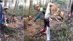 Ciclistas salvam cão amarrado a uma árvore na Serra de Pias em Valongo
