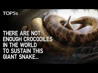 5 Extinct Animals That Could NEVER Survive in Today’s Conditions...