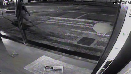 Homem é flagrado tentando estourar porta de loja com pedra