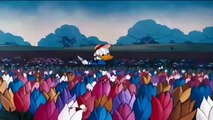 Donald Duck cartoon - Donald's Bee - bthq -Kids