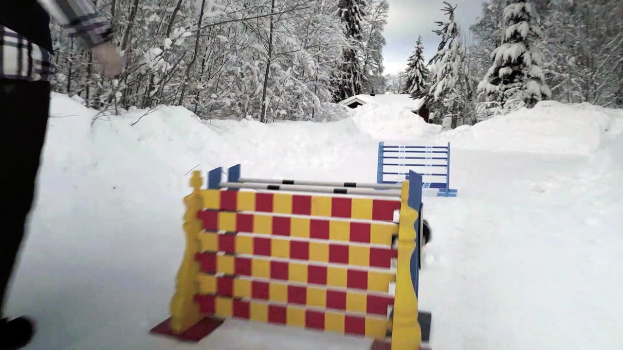 LES SUPER POUVOIRS DU LAPIN - Extrait 3