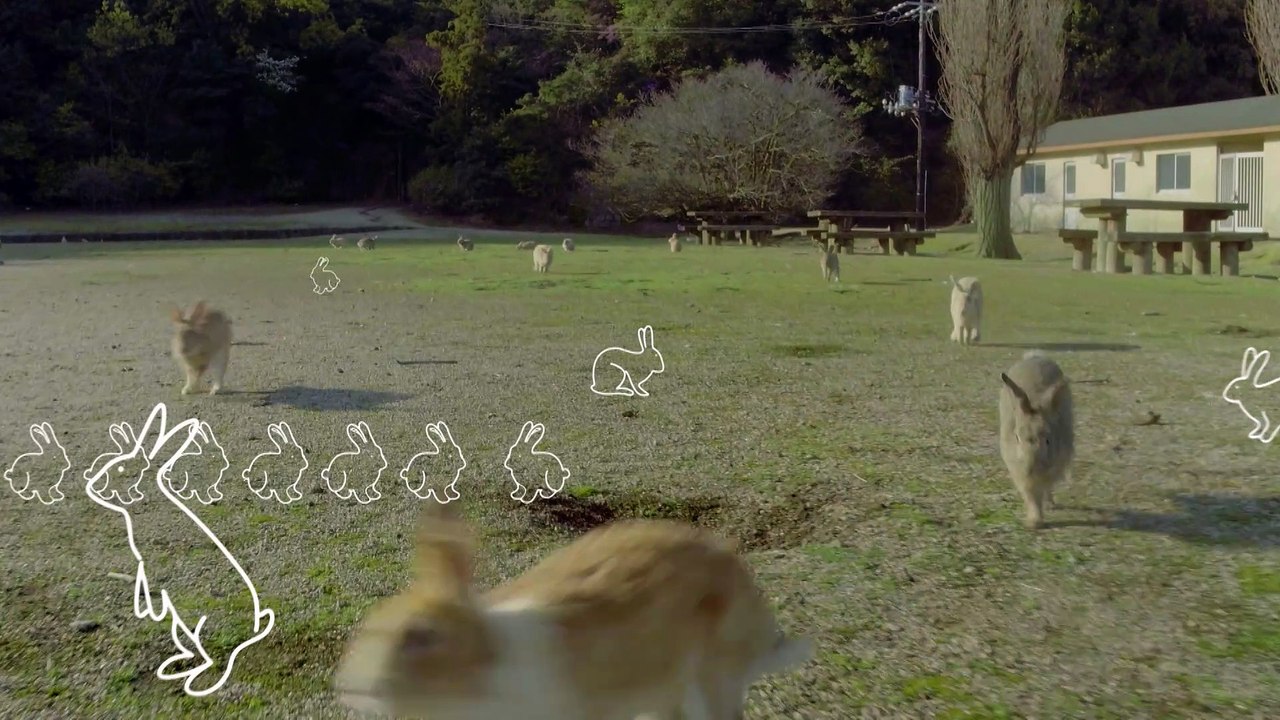 LES SUPER POUVOIRS DU LAPIN - Extrait 1