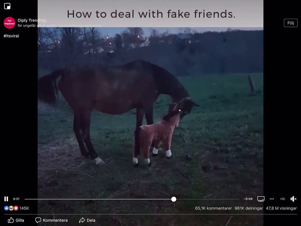 How to deal with fake friends