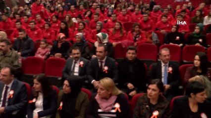 Mardin'de 'Kadına Yönelik Şiddete Hakkın Yok' Paneli