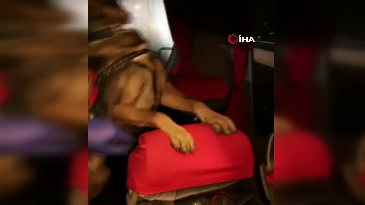 Uyuşturucu taciri narkotik köpeği Geçim’i geçemedi