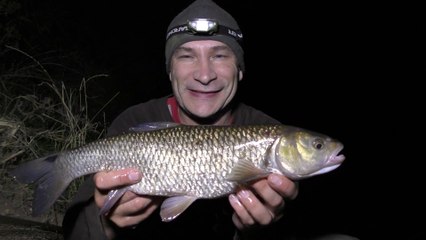 Smells, Sewage, Phone Calls, Lost Dogs...And A Bit Of Fishing - 17/8/18 (Video 81)