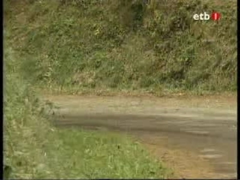 Rallye Balcon de Bizkaia 25-11-2006