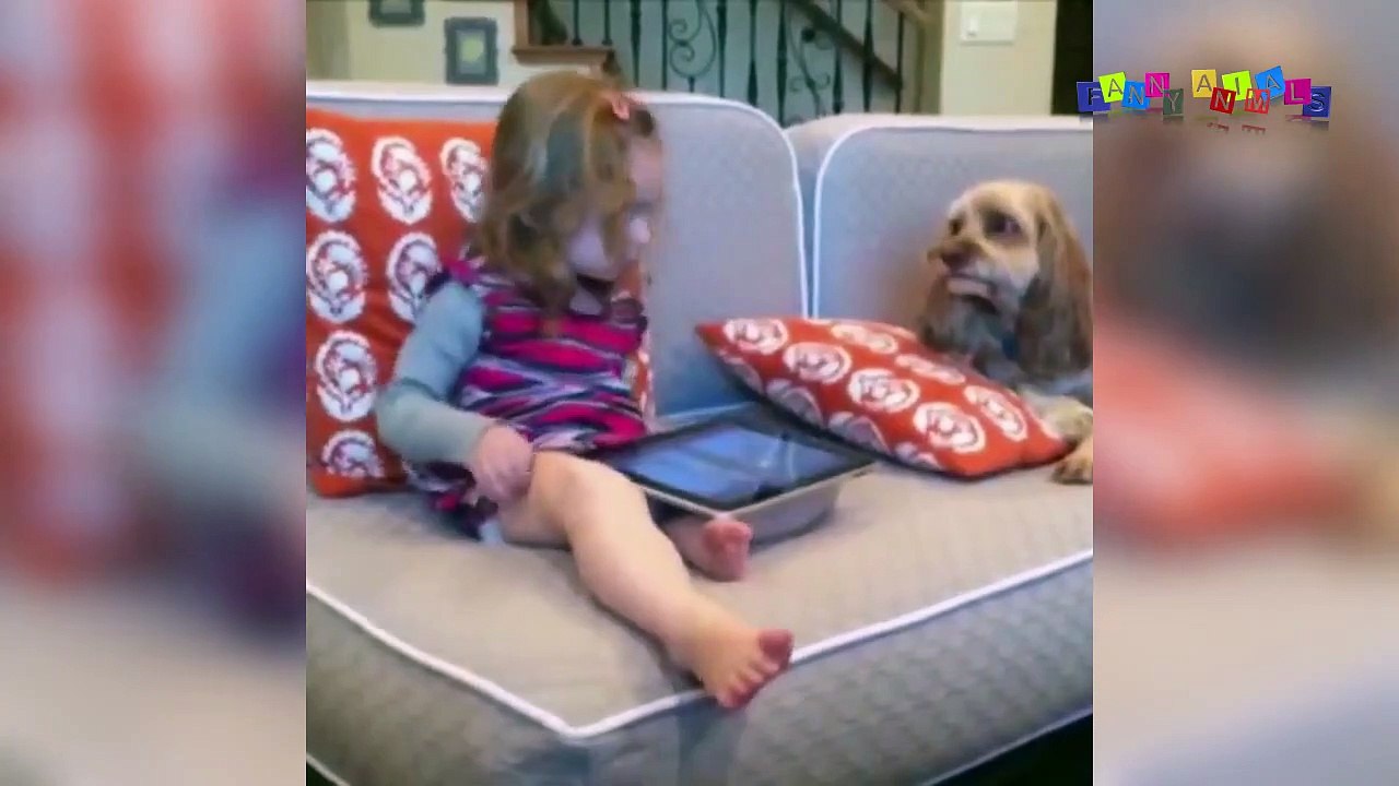 Приколы с собаками. Недопрыгнул.