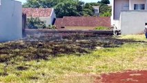 Incêndio em terreno baldio mobiliza bombeiros