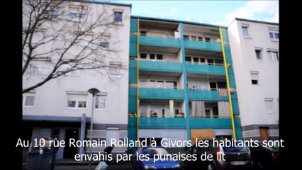 Invasion de punaises de lit à Givors