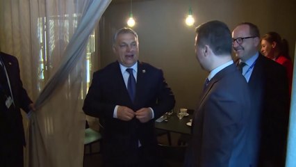 Arratisja e Gruevskit, eurodeputetja kritikon Hungarinë