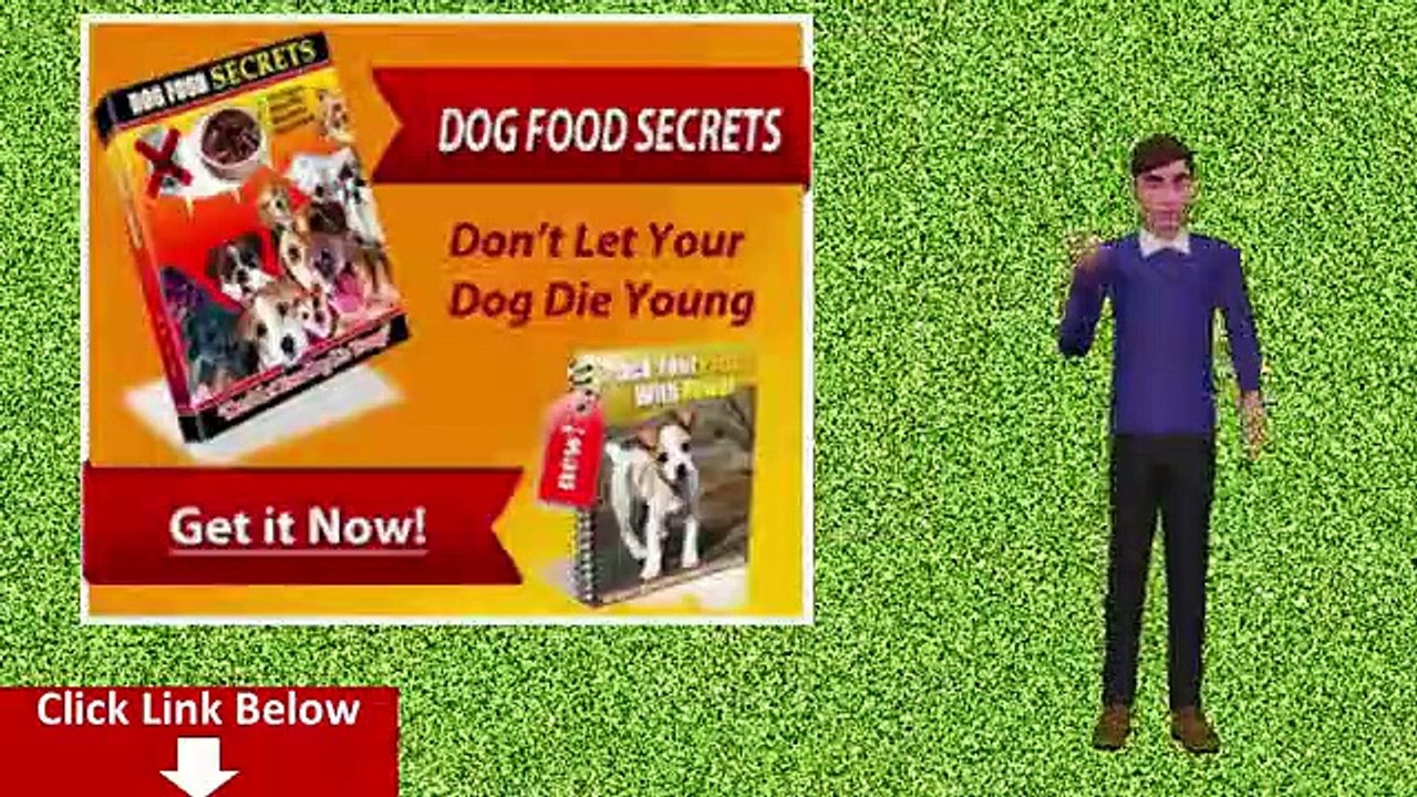 Natural Dog Food Roll Senior & Large Breed PDF-Organic Dog Food Canned-Organic Dog Food Grain Free