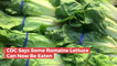 CDC Does A 180 On Eating Romain Lettuce: Why