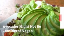 Vegans Are Going To Be Very Upset About Avocados