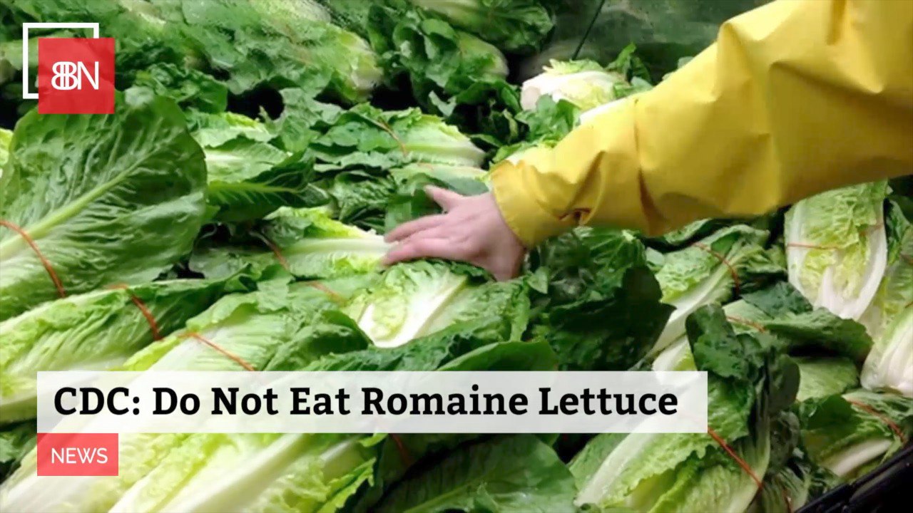 If you Have Romain Lettuce Then Just Throw It Out
