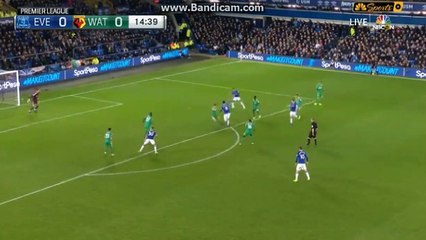 Super Goal  Richarlison  Everton  1  -  0  Watford  10.12.2018 HD