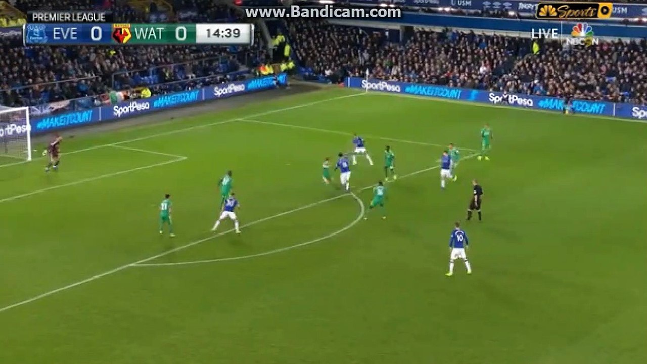 Super Goal  Richarlison  Everton  1  -  0  Watford  10.12.2018 HD