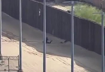 Border patrol video shows teen getting hurt falling from 18-foot fence