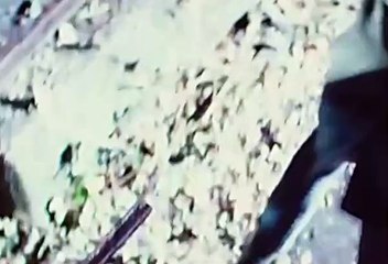 릴게임사이트, 온라인릴게임추천 ,,// VFV7 쩜 콤 ,,// 손오공릴게임