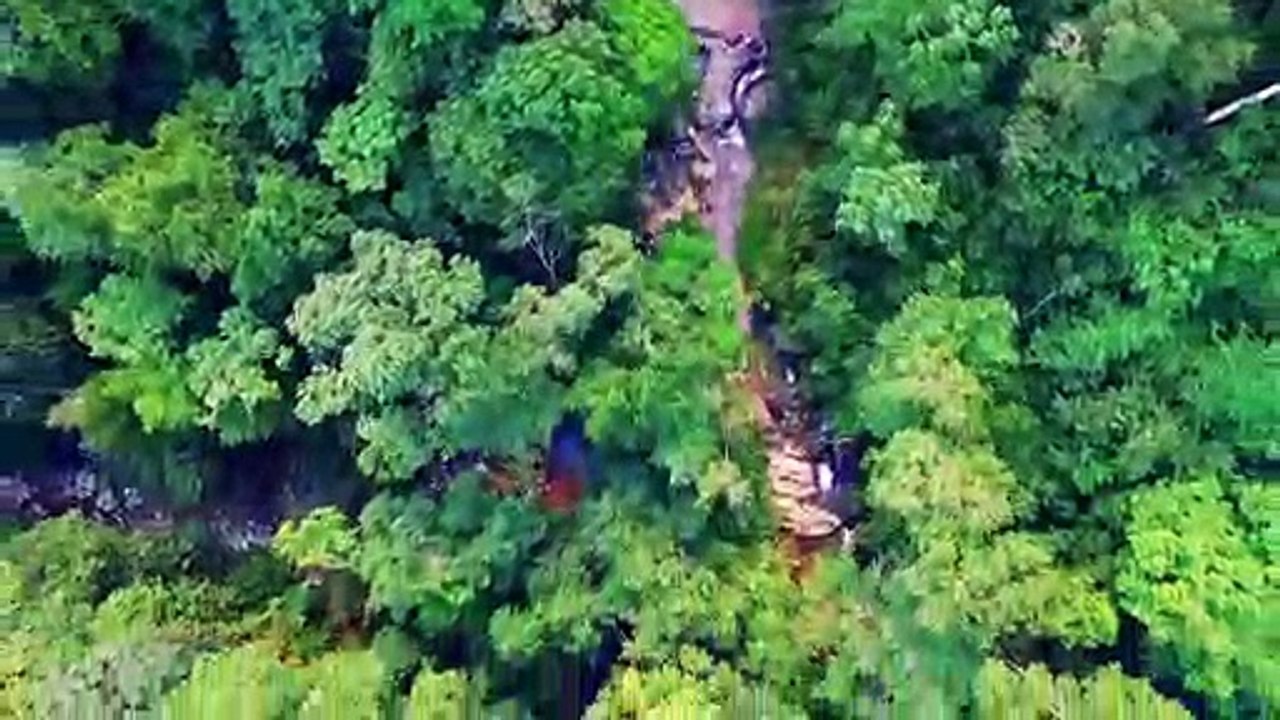Cachoeira do Macaco