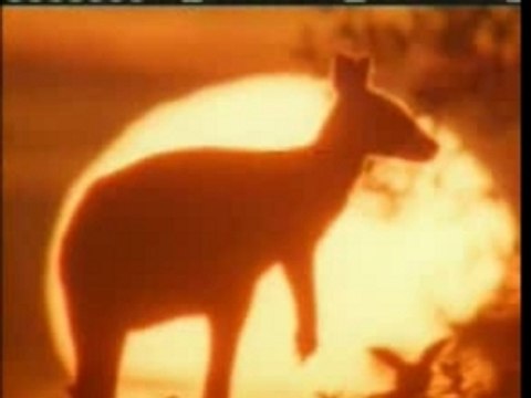 La creation de l'univers 00 introduction (miracles du Coran)