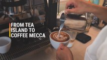 Taiwan Is The World’s Next Big Coffee Destination