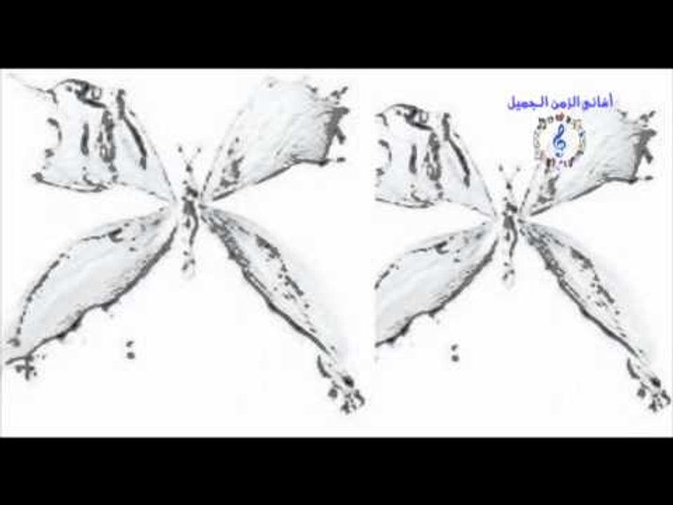 انتصار مجدى - الليله