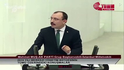 Meclis'te küfür sesleri ve kavga: Orman mı lan burası ayı...