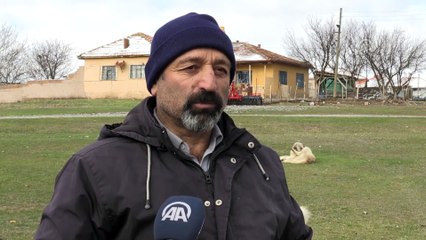 Köyün kedi ve köpekleri muhtara emanet - YOZGAT