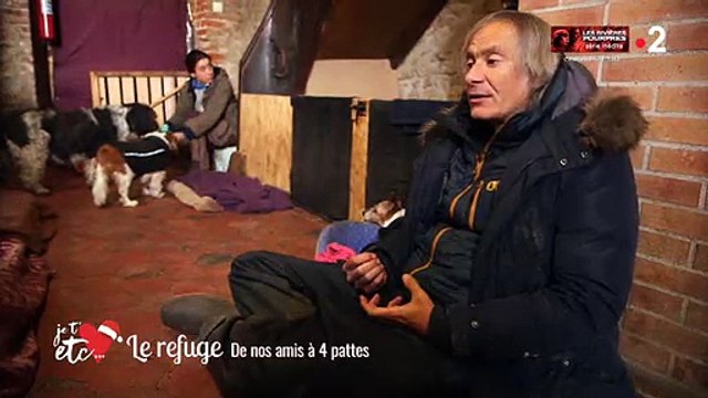 France 2 nous fait visiter la première maison de retraite pour... chiens ! Regardez