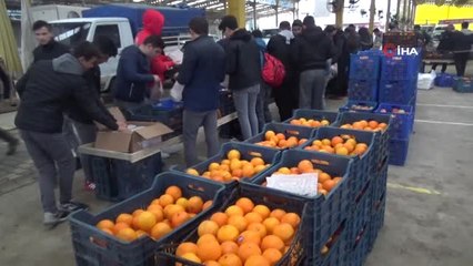 Yerli Malı Haftası'nda 6 Ton Meyve Öğrencilere Dağıtılacak