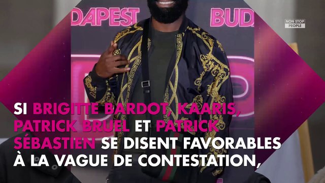 Renaud récompensé par la SACEM : son allusion aux gilets jaunes