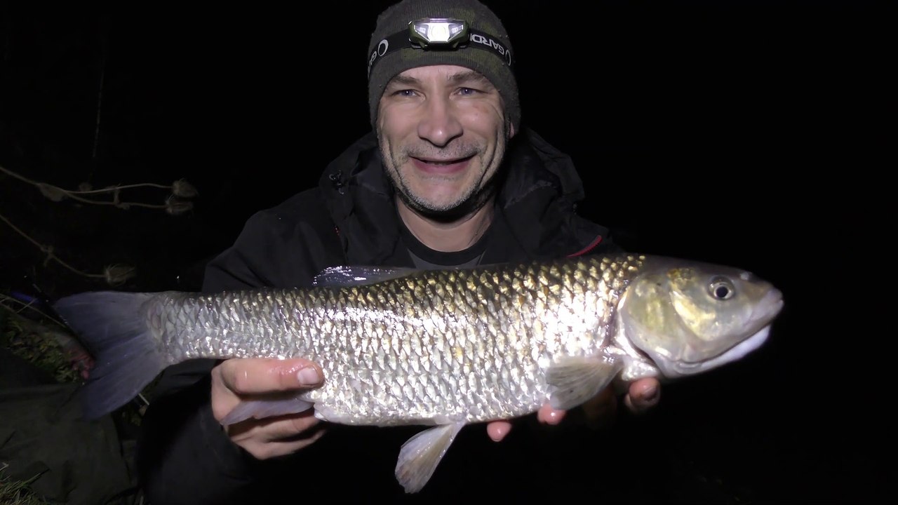 Chub On The Warwickshire Avon - Pin & Feeder - 14/9/18 (Video 86)