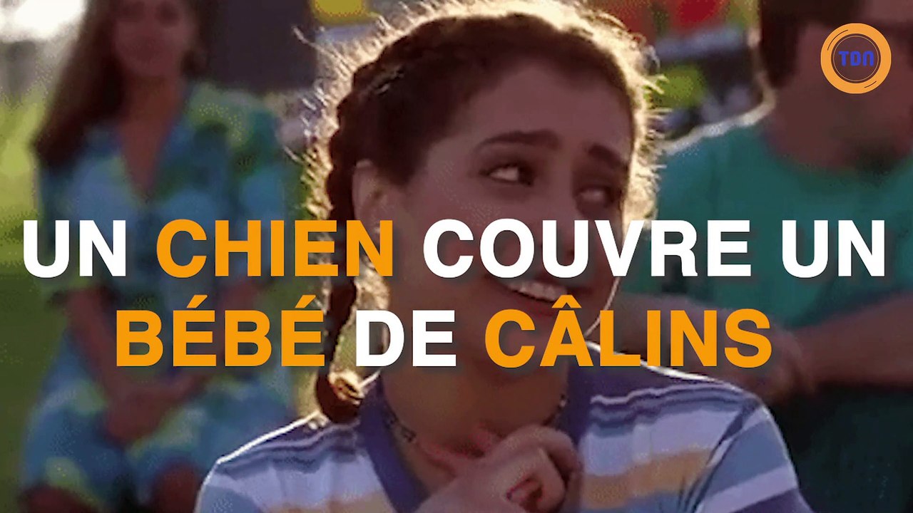 Ce chien couvre un bébé de câlins et de bisous !