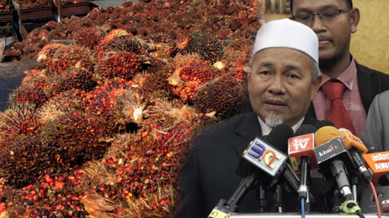 Felda settlers demand Putrajaya set price floor for palm oil