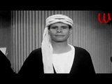 Omar Elgezawy  - Salamo 3alko / عمر الجيزاوي - سلامو عليكو