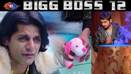 Bigg Boss 12: Will Karanvir Bohra destroy his kid's toy to save Deepak Thakur; Check Out | FilmiBeat