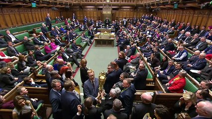 Labour MP grabs ceremonial mace in Brexit protest