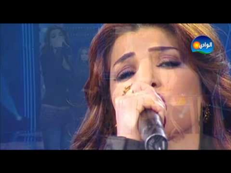 Dina Hayek - Baddy Habibi / دينا حايك - بدى حبيبى