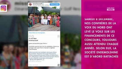 Miss France 2019 : une partie des dépenses financée par les contribuables ?