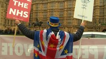 15 meses de lucha contra el Brexit