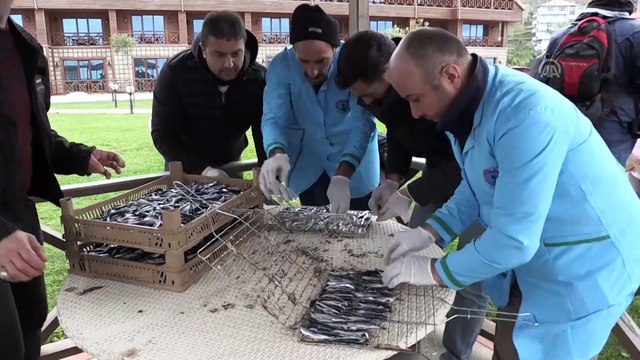 Üç ton hamsi iki saatte tükendi - RİZE