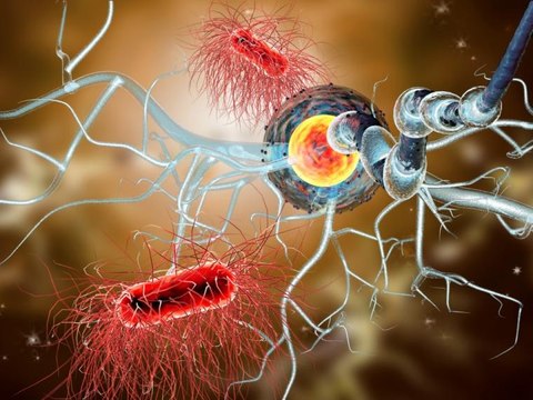 Día Nacional Esclerosis Múltiple