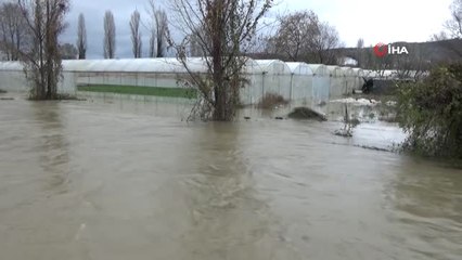 Yalova'da Dere Taştı, 50 Sera Sular Altında Kaldı