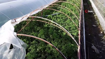 Kaş'ta hortum seraları vurdu