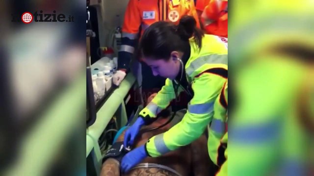 Fabrizio Corona aggredito da gruppo di spacciatori al bosco dell'eroina | Notizie.it